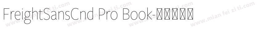 FreightSansCnd Pro Book字体转换